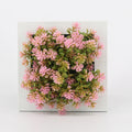 3D Succulent Wall Decor for Modern Home Style 🌿